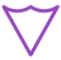 icon protection shield